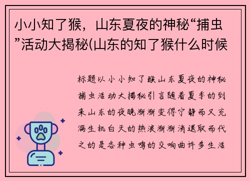 小小知了猴，山东夏夜的神秘“捕虫”活动大揭秘(山东的知了猴什么时候出来)